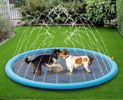 Spray & Splash Pet Pool