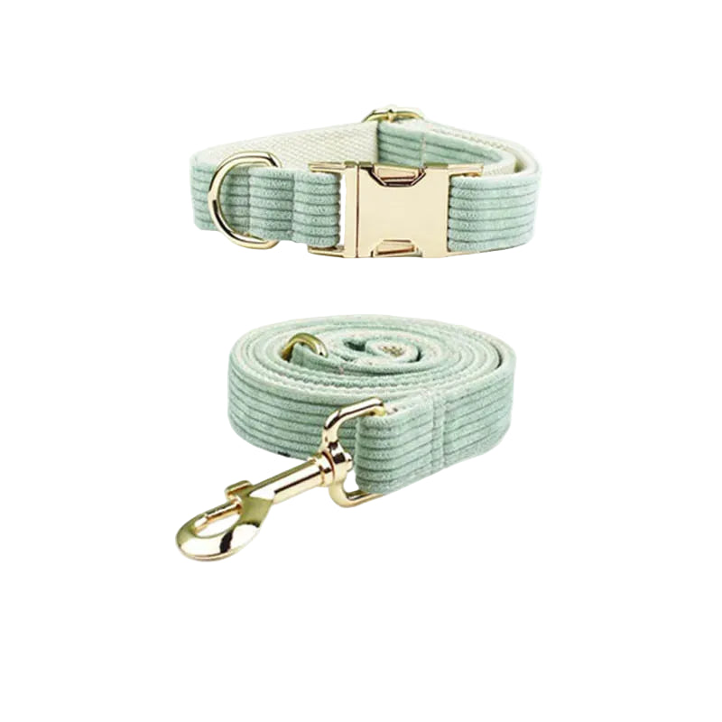 Light Green Corduroy Walking Set