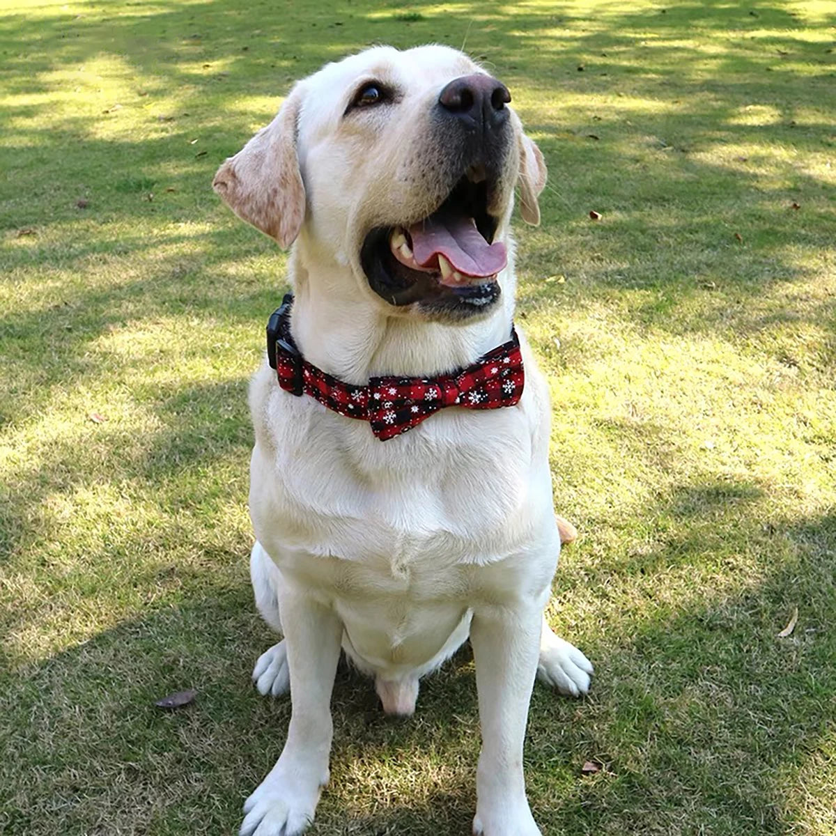 Christmas Plaid Pet Collar with Bow Tie - All Sizes