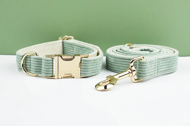 Light Green Corduroy Walking Set