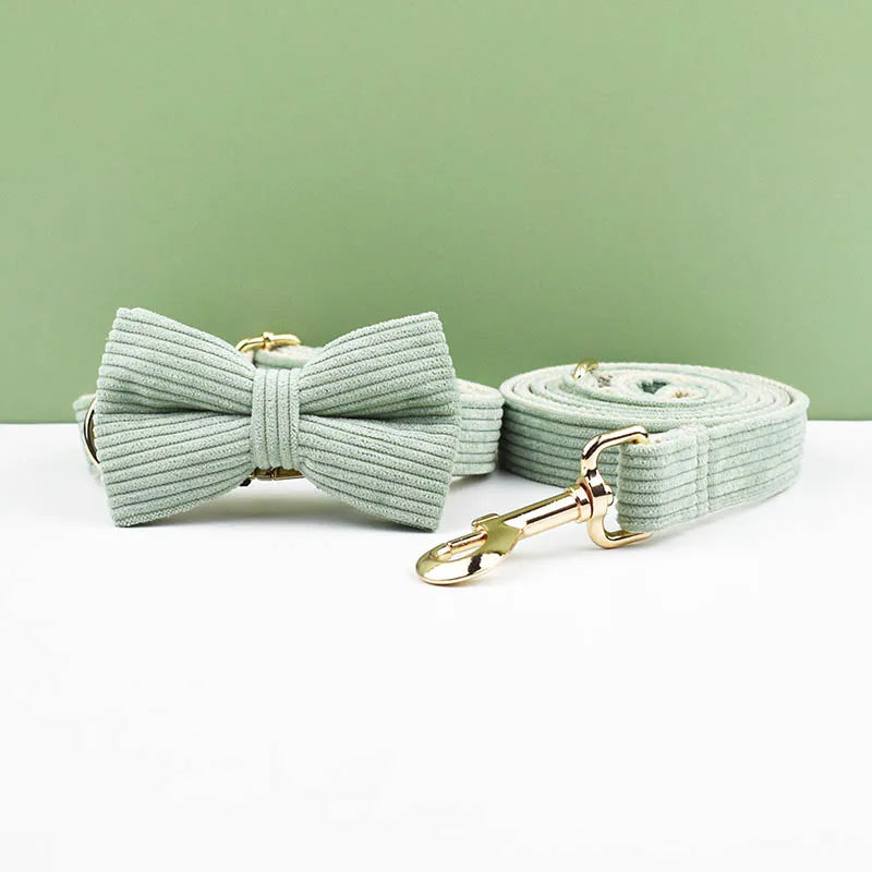 Light Green Corduroy Walking Set