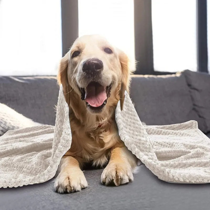 Plush Pet Blanket