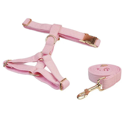 Light Pink Corduroy Walking Set
