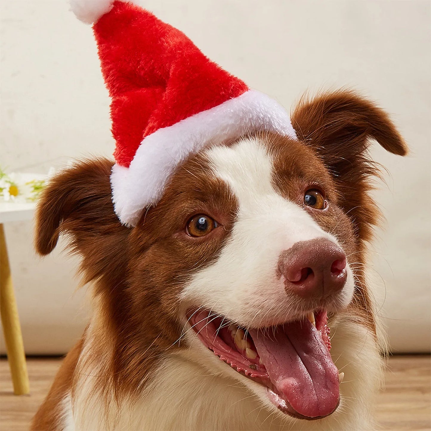 Pet Santa Hat