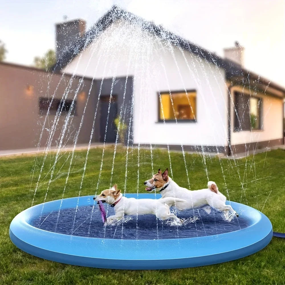Spray & Splash Pet Pool