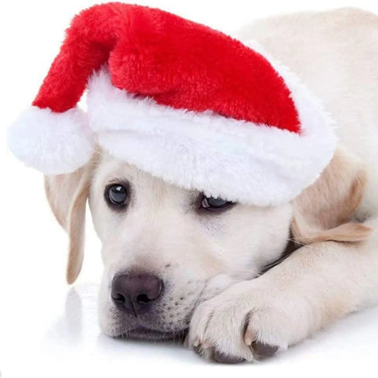 Pet Santa Hat