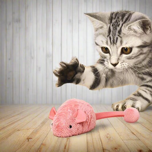 Interactive Light-Up Mouse Toy