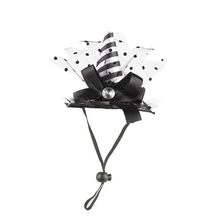 Halloween Witch Hat for Pets – Cat & Small Dog Costume Accessory