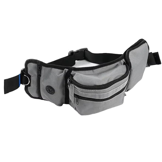 Hands-Free Dog Walking Bag
