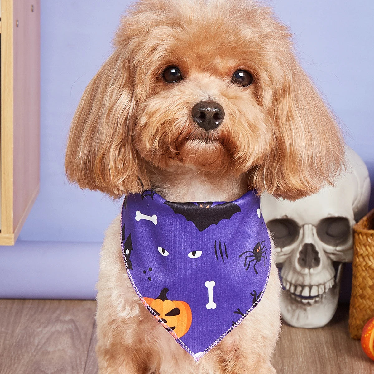 Halloween Dog Bandana – Pumpkin & Skeleton Scarf Designs