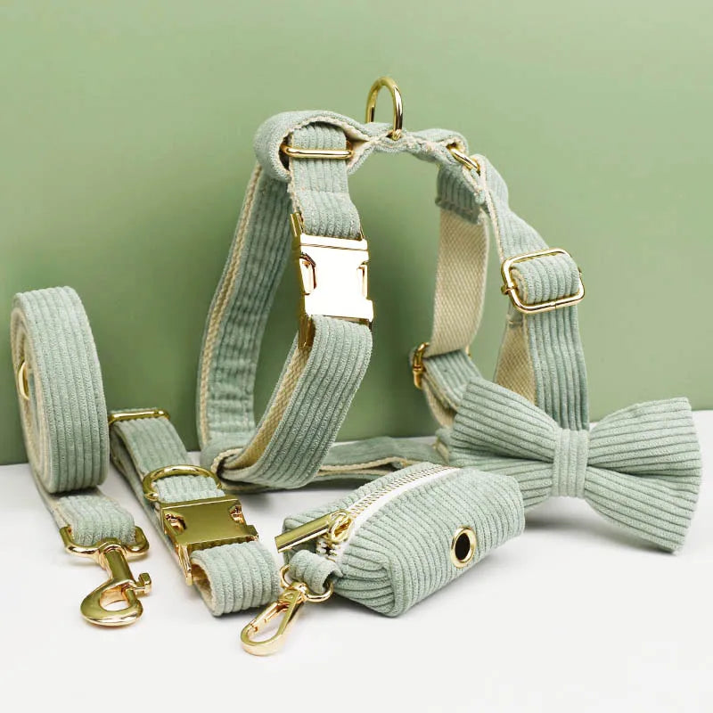 Light Green Corduroy Walking Set