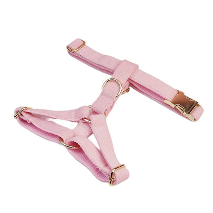 Light Pink Corduroy Walking Set