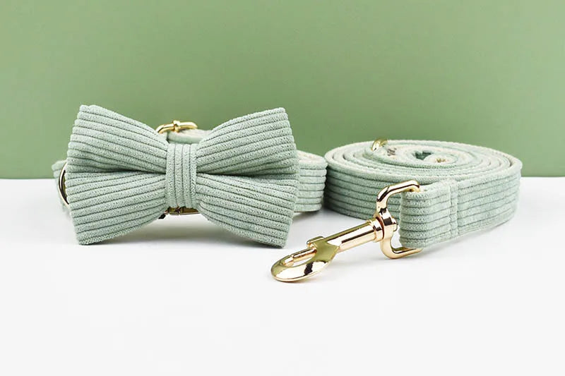 Light Green Corduroy Walking Set