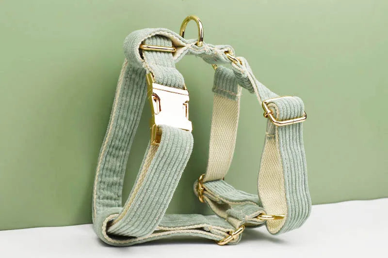 Light Green Corduroy Walking Set