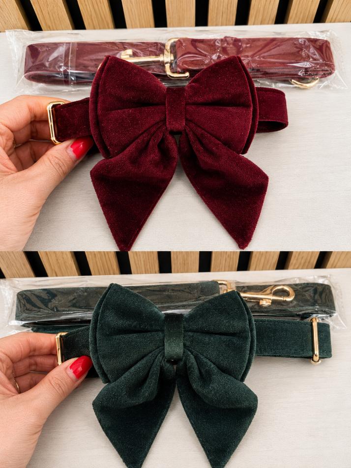 Velvet Collar, Bow & Lead Set
