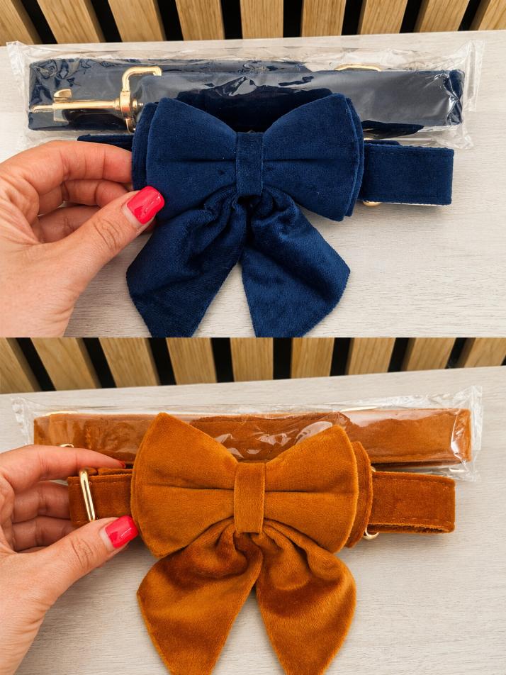 Velvet Collar, Bow & Lead Set
